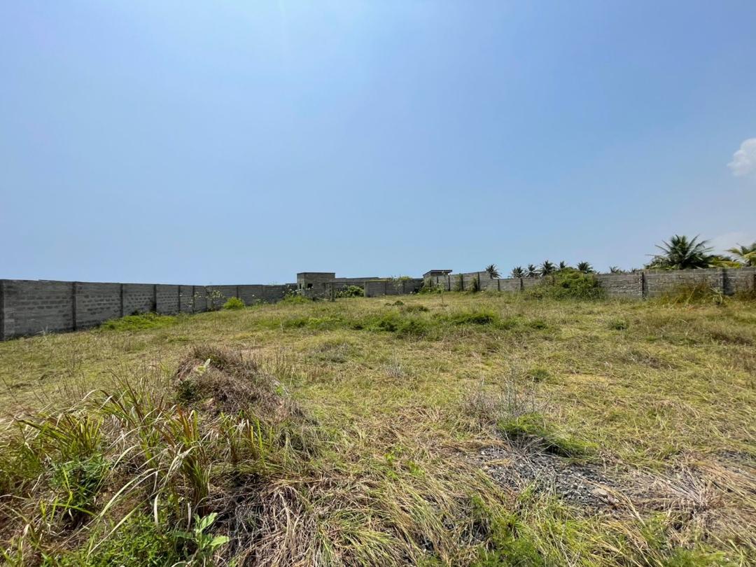 3 Plots of Lands For Sale