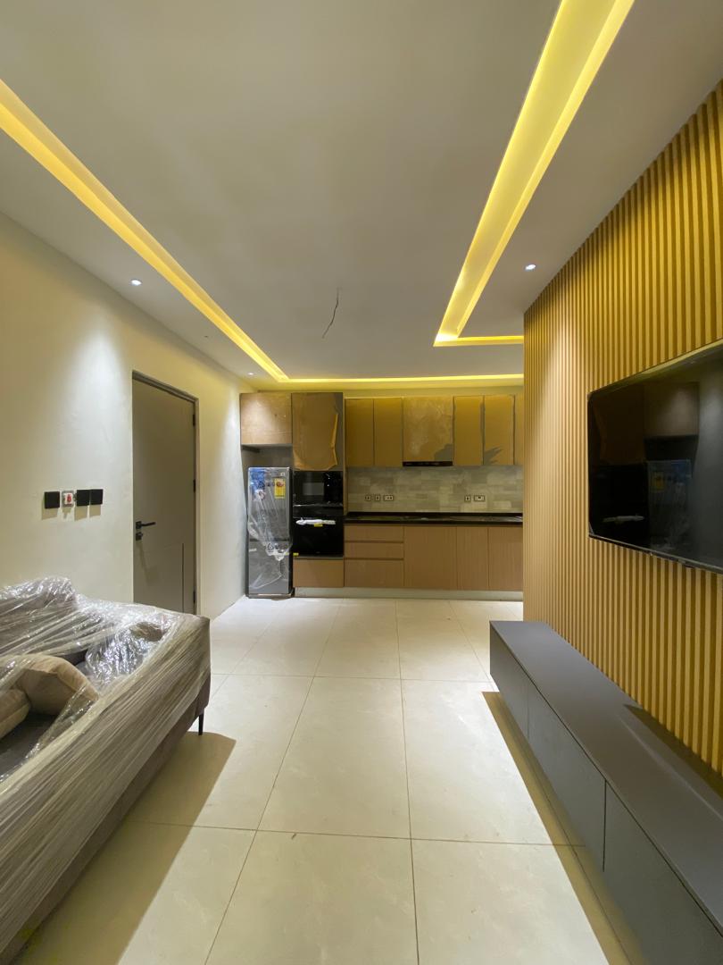 Fully Furnished Apartments-image