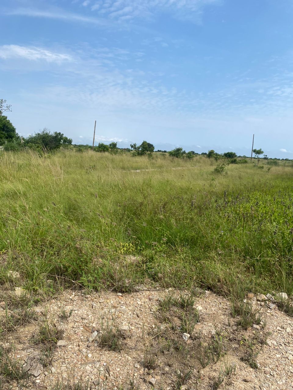 One Plot Of Land For Sale||