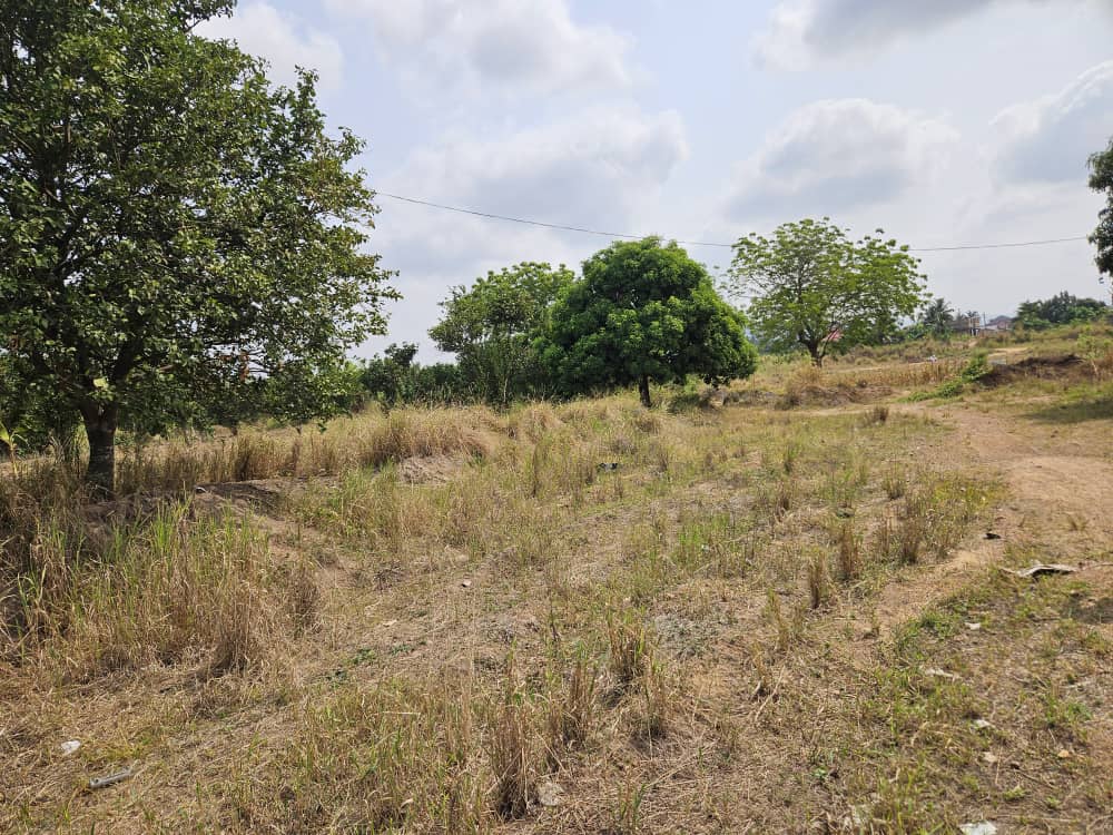 LAND FOR SALE- ADUSAH POKUASE